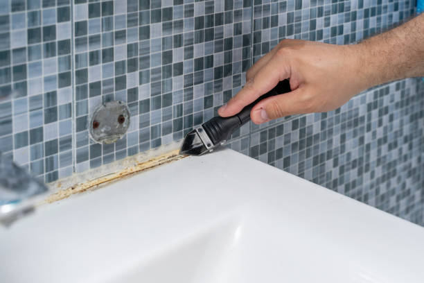 Best Emergency Mold Remediation in Jefferson, GA